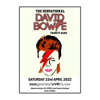 The Sensational David Bowie Tribute Band Image