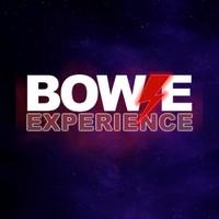 Bowie Experience Image