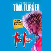 Tina Live - The Tina Turner Experience