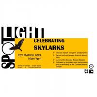 Spotlight: Celebrating Skylarks