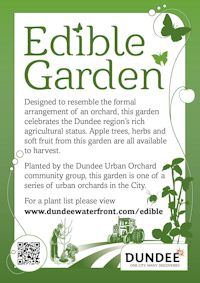 Edible Garden