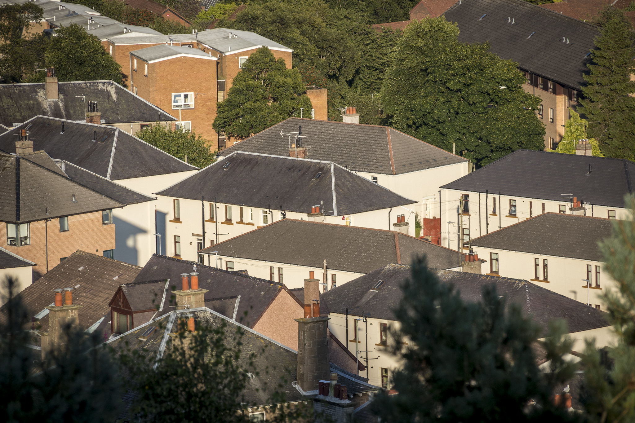 rapid-rehousing-transition-plan-dundee-city-council