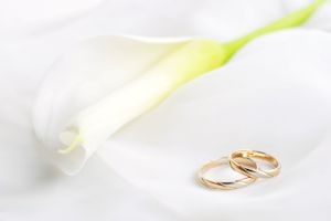 Lily and wedding rings