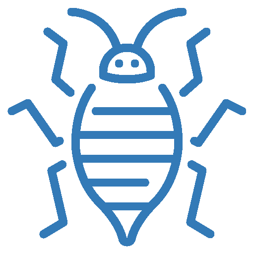 Insect
