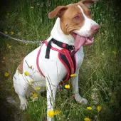 Crystal (2019) Image