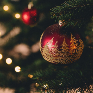 Christmas Tree Festival image