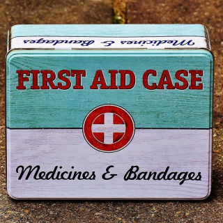 Rescue Emergency Care - First Aid (Age 16 plus) image