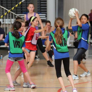Summer Adult - Netball  image
