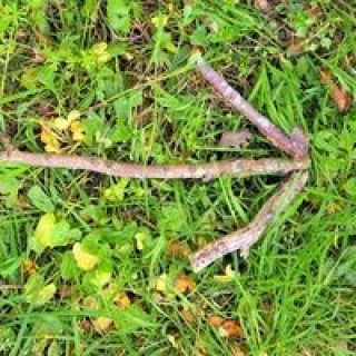 Paddleboarding and Bushcraft Day (Age 8-12yrs) image