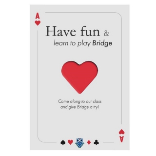 Bridge Lessons at Dundee Bridge Club image