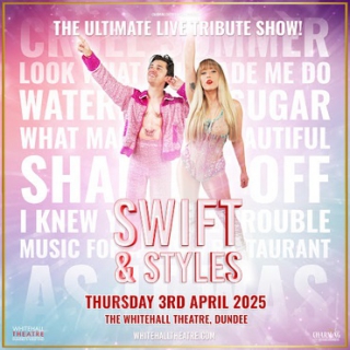 Swift and Styles Tribute image