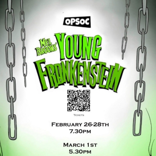 Young Frankenstein image