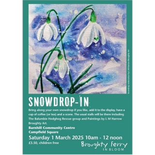 Snowdrop In image