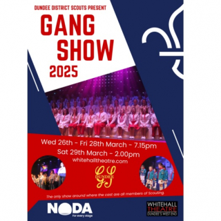 Dundee Scout Gang Show 2025 image