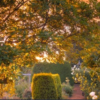 Exhibition: International Garden Photographer of the Year Exhibition 18 image