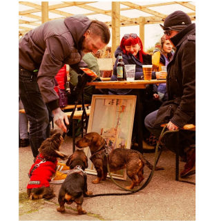 The Yard Market image