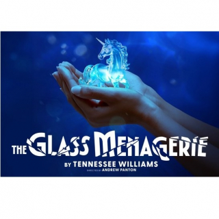 The Glass Menagerie image