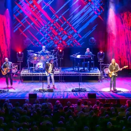 The Illegal Eagles image