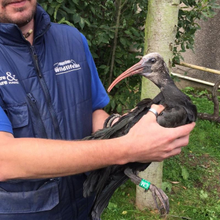 Summer Adventures at Camperdown Wildlife Centre image