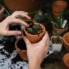City Road Allotments image
