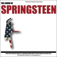 The Sound of Springsteen Image