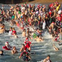 New Year Day Dook  Image