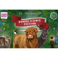 Dundee Science Festival  Image