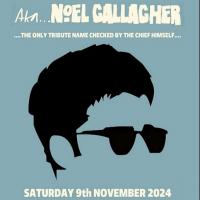Aka Noel Gallagher Image