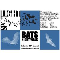 Bats Art Workshop and Night Walk Image