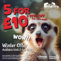 Winter Offer at Camperdown Wildlife Centre