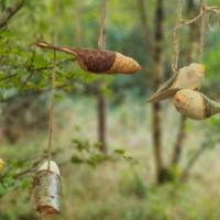 Wood Whittling - Bird Sculpture for Children