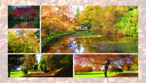 Discovery our Parks and Open Spaces