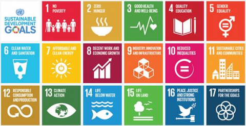 Global Goals