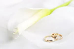 Lily and wedding rings
