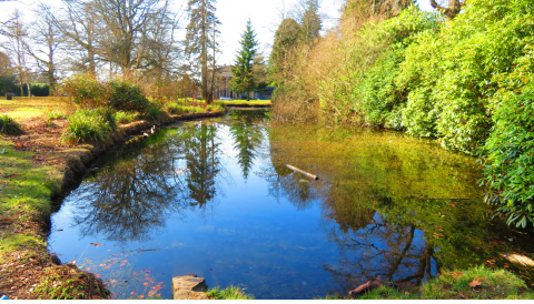 Discovery our Parks and Open Spaces