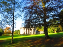 Camperdown Country Park with mansion house in the background