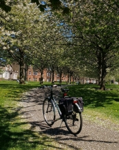 Magdalen Green with bicycle