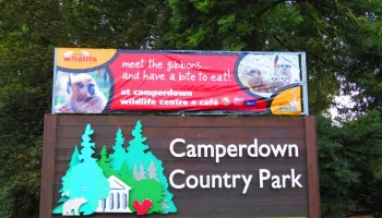 Camperdown Park arrangements for Doof in the Park Image