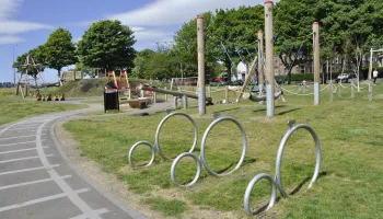 Play Survey Launched Image