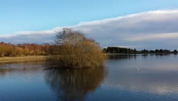 Clatto Blue Green Algae Warning Image
