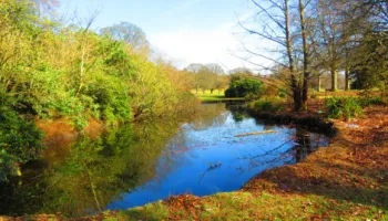 Fire pond at Camperdown Park