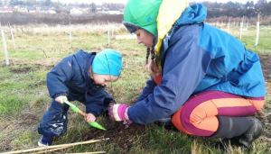 Tree Planting helps in Greening of Dundee Image
