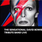 The Sensational David Bowie Tribute Band  image