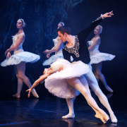 Swan Lake image Swan Lake image