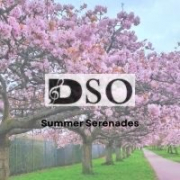 Summer Serenades image Summer Serenades image