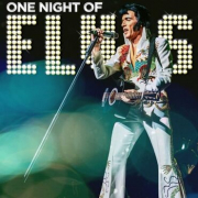 One Night of Elvis starring Lee Memphis King image One Night of Elvis starring Lee Memphis King image
