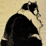Cats: From Predators to Pets image Cats: From Predators to Pets image
