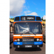Dundee Bus Fest image